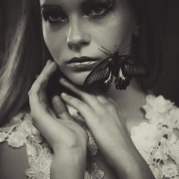 Фотография #333046, студийная фотосъемка, автор: Вячеслав Котов