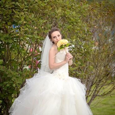 Фотография #562265, свадебная фотосъемка, автор: Елена Пчелинцева