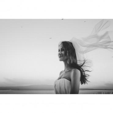 Альбом: Свадебная фотосъемка, 6 фотографий