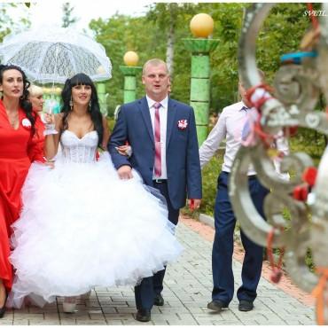 Фотография #564196, свадебная фотосъемка, автор: Светлана Симонова