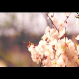 Видео #562034, автор: Артур Лесницкий