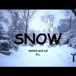 Видео #562036, автор: Артур Лесницкий