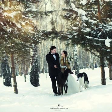 Фотография #570072, свадебная фотосъемка, автор: Евгения Романова