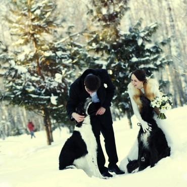 Фотография #568173, свадебная фотосъемка, автор: Евгения Романова