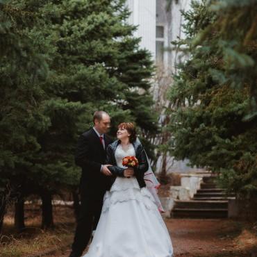 Фотография #370376, свадебная фотосъемка, автор: Анастасия Фильчева