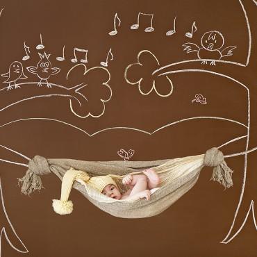 Фотография #371413, , автор: FamilyStudio 