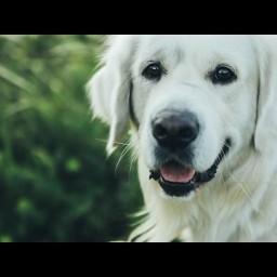 Видео #146683, автор: Александр Мальцев