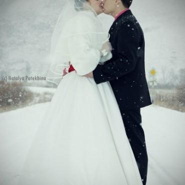 Фотография #148316, свадебная фотосъемка, автор: Наталия Потехина