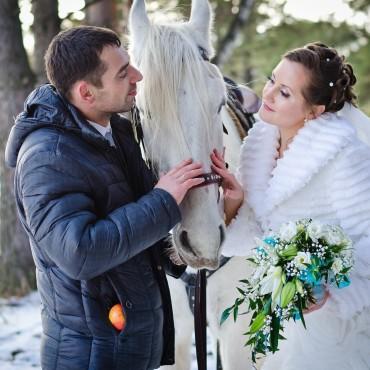 Фотография #148960, свадебная фотосъемка, автор: Елена Чипилко