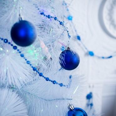 Фотография #150347, , автор: Чешир 