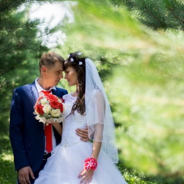 Фотография #154727, свадебная фотосъемка, автор: Василий Кулагин