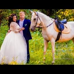 Видео #52900, автор: Дмитрий Илюхин