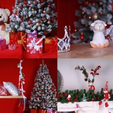 Фотография #55929, , автор: Интерьерная фотостудия "Колибри" 