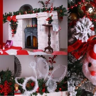 Фотография #55935, , автор: Интерьерная фотостудия "Колибри" 