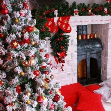 Фотография #55927, , автор: Интерьерная фотостудия "Колибри" 