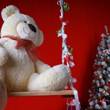 Фотография #55937, , автор: Интерьерная фотостудия "Колибри" 