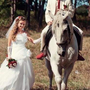 Фотография #57736, свадебная фотосъемка, автор: Юрий Попов