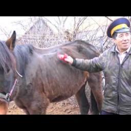 Видео #52961, автор: Видео Фото