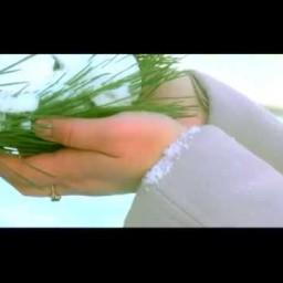 Видео #52993, автор: Видео Фото