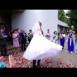 Видео #109565, автор: Толя Сидоров