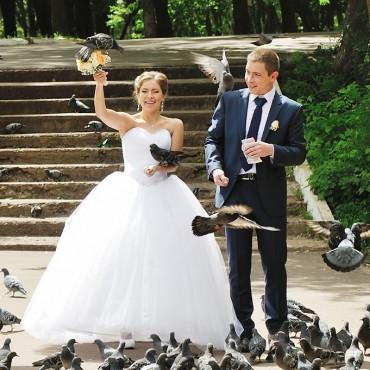Фотография #116289, свадебная фотосъемка, автор: Александр Крохов