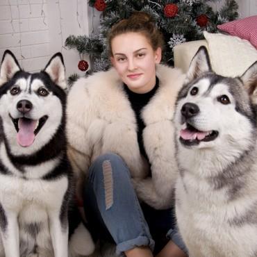 Фотография #112120, автор: Оксана Двоеглазова Фотография #112120, автор: Оксана Двоеглазова