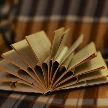 Фотография #118736, , автор: Интерьерная фотостудия " Леся" 