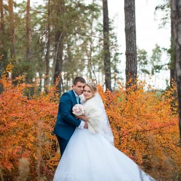 Фотография #396604, свадебная фотосъемка, автор: Алена Бочарова
