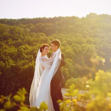 Фотография #398632, свадебная фотосъемка, автор: Светлана Челядинова
