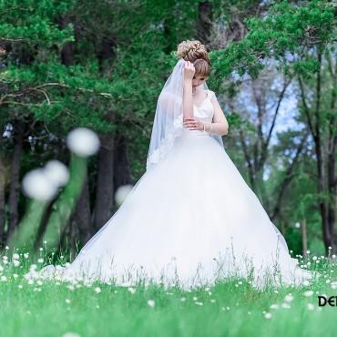 Фотография #398512, свадебная фотосъемка, автор: Денис Черепко