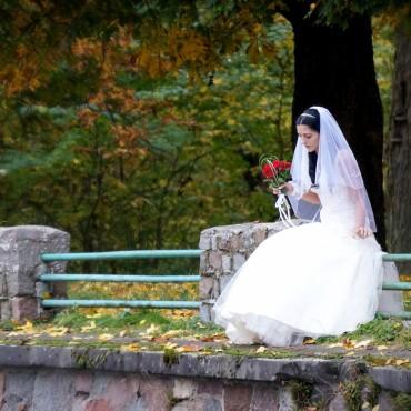 Фотография #128884, свадебная фотосъемка, автор: Елена Литвякова