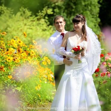 Фотография #129838, свадебная фотосъемка, автор: Сергей Дмитриев