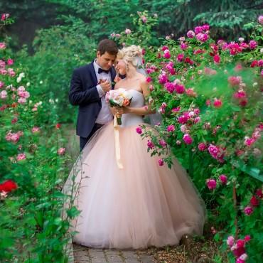 Фотография #140091, свадебная фотосъемка, автор: Елена Утивалеева