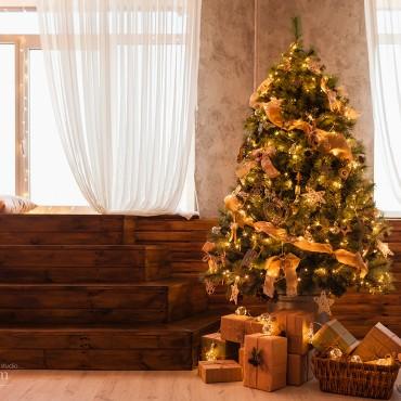 Фотография #140647, , автор: Фотостудия "ARTroom" 