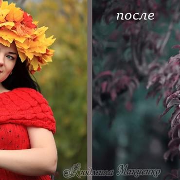 98c8b2aad17464b1662ca71a7a5927f1.jpg