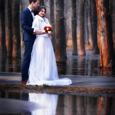 Фотография #47822, свадебная фотосъемка, автор: Анастасия Мощева