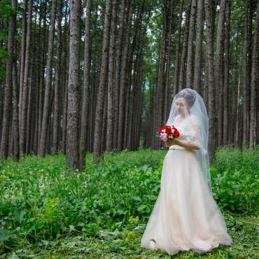 Фотография #48645, свадебная фотосъемка, автор: Денис Викторов