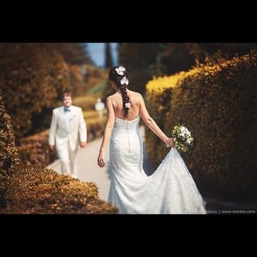 Фотография #251336, , автор: Анна Гончаренко