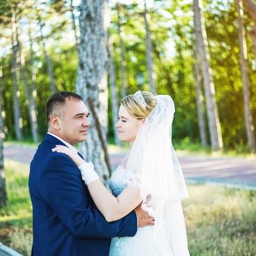 Фотография #260134, свадебная фотосъемка, автор: Яна Дорошенко