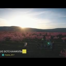 Видео #248268, автор: Студия МЕЛЬНИЦА