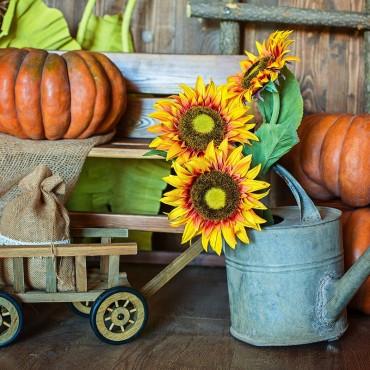 Фотография #261431, , автор: Фотостудия «Моя» 