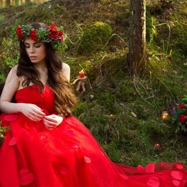 Фотография #558710, , автор: Светлана Шерстнева