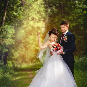 Фотография #559177, свадебная фотосъемка, автор: Роман Сергеев