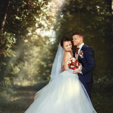 Фотография #559176, свадебная фотосъемка, автор: Роман Сергеев