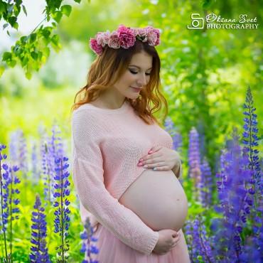 Фотография #560646, фотосъемка беременных, автор: Оксана Светличная