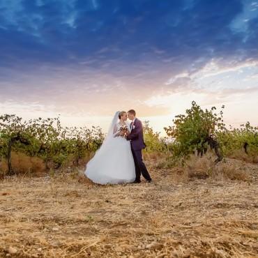 Фотография #269584, свадебная фотосъемка, автор: Анна Тофан