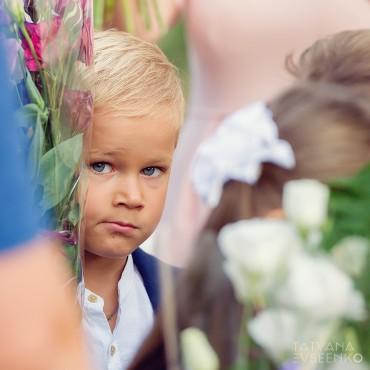 Фотография #264402, автор: Татьяна Евсеенко Фотография #264402, автор: Татьяна Евсеенко