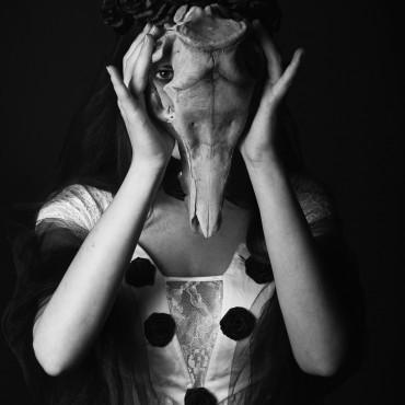Фотография #266616, студийная фотосъемка, автор: Анна Пашко