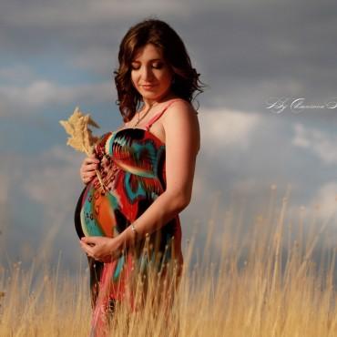 Фотография #270533, фотосъемка беременных, автор: Светлана Чмарова