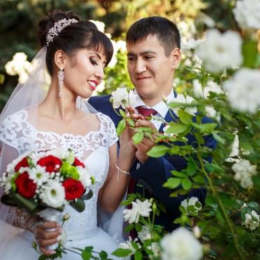 Фотография #274584, свадебная фотосъемка, автор: Юлия Карелина